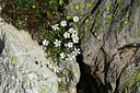 BUITEN BEELD Foto: 363339