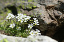 BUITEN BEELD Foto: 363344