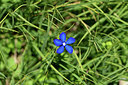 BUITEN BEELD Foto: 363348