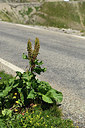 BUITEN BEELD Foto: 363356