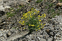 BUITEN BEELD Foto: 363359