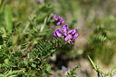 BUITEN BEELD Foto: 363387