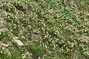 BUITEN BEELD Foto: 363397