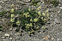 BUITEN BEELD Foto: 363420
