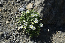 BUITEN BEELD Foto: 363430