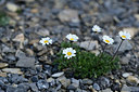 BUITEN BEELD Foto: 363436
