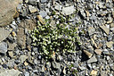 BUITEN BEELD Foto: 363437