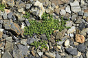BUITEN BEELD Foto: 363440