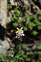 BUITEN BEELD Foto: 363448
