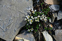 BUITEN BEELD Foto: 363449