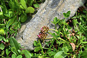 BUITEN BEELD Foto: 363454