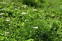BUITEN BEELD Foto: 363468