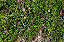 BUITEN BEELD Foto: 363486