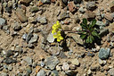 BUITEN BEELD Foto: 363489