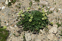 BUITEN BEELD Foto: 363499