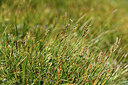 BUITEN BEELD Foto: 363505