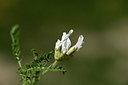 BUITEN BEELD Foto: 363514