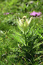 BUITEN BEELD Foto: 363531