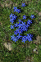 BUITEN BEELD Foto: 363535