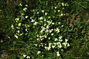 BUITEN BEELD Foto: 363563