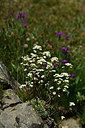 BUITEN BEELD Foto: 363602