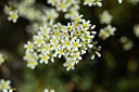 BUITEN BEELD Foto: 363603