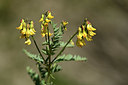 BUITEN BEELD Foto: 363605