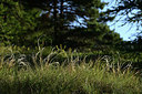 BUITEN BEELD Foto: 363620