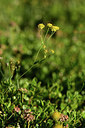 BUITEN BEELD Foto: 363623