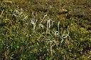 BUITEN BEELD Foto: 363627