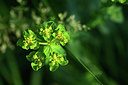 BUITEN BEELD Foto: 363635