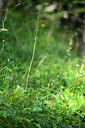 BUITEN BEELD Foto: 363646