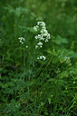 BUITEN BEELD Foto: 363647