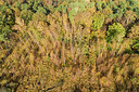 BUITEN BEELD Foto: 363792