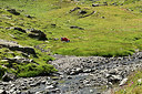 BUITEN BEELD Foto: 363828