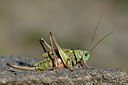 BUITEN BEELD Foto: 363865