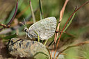BUITEN BEELD Foto: 363869