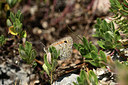 BUITEN BEELD Foto: 363881