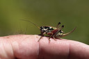 BUITEN BEELD Foto: 363885