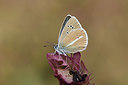 BUITEN BEELD Foto: 363891