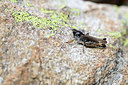 BUITEN BEELD Foto: 363892