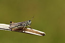 BUITEN BEELD Foto: 363981