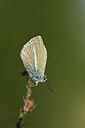 BUITEN BEELD Foto: 364032