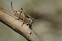BUITEN BEELD Foto: 364040