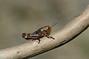 BUITEN BEELD Foto: 364041