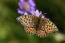 BUITEN BEELD Foto: 364050
