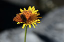 BUITEN BEELD Foto: 364055