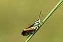 BUITEN BEELD Foto: 364080