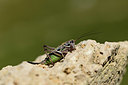 BUITEN BEELD Foto: 364091