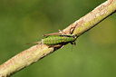 BUITEN BEELD Foto: 364098